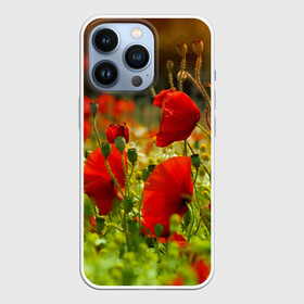 Чехол для iPhone 13 Pro с принтом Маки в Курске,  |  | Тематика изображения на принте: field | flowers | meadow | nature | poppies | poppy | red | summer | wild | красные | лето | луг | мак | маки | поле | полевые | природа | цветы