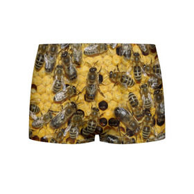 Мужские трусы 3D с принтом Пчела в Курске, 50% хлопок, 50% полиэстер | классическая посадка, на поясе мягкая тканевая резинка | Тематика изображения на принте: лето | мед | насекомые | оса | природа | пчелы | шмель