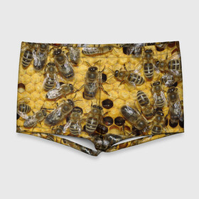 Мужские купальные плавки 3D с принтом Пчела в Курске, Полиэстер 85%, Спандекс 15% |  | лето | мед | насекомые | оса | природа | пчелы | шмель