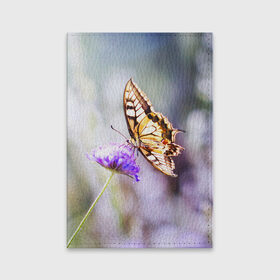 Обложка для паспорта матовая кожа с принтом Бабочка 1 в Курске, натуральная матовая кожа | размер 19,3 х 13,7 см; прозрачные пластиковые крепления | бабочки | прикольные картинки | природа | цветы