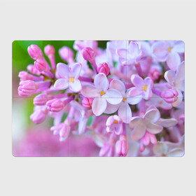 Магнитный плакат 3Х2 с принтом Сирень в Курске, Полимерный материал с магнитным слоем | 6 деталей размером 9*9 см | лепестки | прикольные картинки | цветочки | цветы