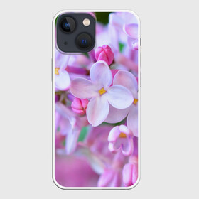 Чехол для iPhone 13 mini с принтом Сирень в Курске,  |  | лепестки | прикольные картинки | цветочки | цветы