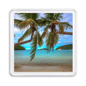 Магнит 55*55 с принтом Пальма в Курске, Пластик | Размер: 65*65 мм; Размер печати: 55*55 мм | море | отдых | отпуск | пальмы | пляж | солнце | туризм