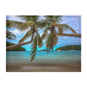 Обложка для студенческого билета с принтом Пальма в Курске, натуральная кожа | Размер: 11*8 см; Печать на всей внешней стороне | море | отдых | отпуск | пальмы | пляж | солнце | туризм