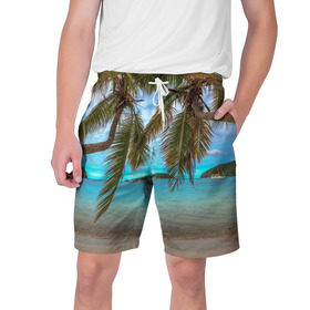 Мужские шорты 3D с принтом Пальма в Курске,  полиэстер 100% | прямой крой, два кармана без застежек по бокам. Мягкая трикотажная резинка на поясе, внутри которой широкие завязки. Длина чуть выше колен | море | отдых | отпуск | пальмы | пляж | солнце | туризм