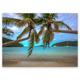 Поздравительная открытка с принтом Пальма в Курске, 100% бумага | плотность бумаги 280 г/м2, матовая, на обратной стороне линовка и место для марки
 | Тематика изображения на принте: море | отдых | отпуск | пальмы | пляж | солнце | туризм