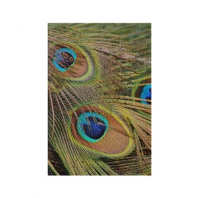 Обложка для паспорта матовая кожа с принтом перо павлина в Курске, натуральная матовая кожа | размер 19,3 х 13,7 см; прозрачные пластиковые крепления | павлин | перо | перышки | птица