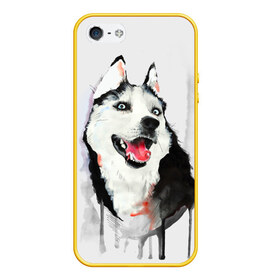Чехол для iPhone 5/5S матовый с принтом Хаски в Курске, Силикон | Область печати: задняя сторона чехла, без боковых панелей | голова животного | кутёнок | прикольные картинки | собака | щенок