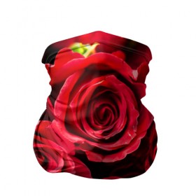 Бандана-труба 3D с принтом Розы в Курске, 100% полиэстер, ткань с особыми свойствами — Activecool | плотность 150‒180 г/м2; хорошо тянется, но сохраняет форму | красный | лепестки | прикольные картинки | розы | цветочки | цветы