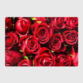 Магнитный плакат 3Х2 с принтом Розы в Курске, Полимерный материал с магнитным слоем | 6 деталей размером 9*9 см | Тематика изображения на принте: красный | лепестки | прикольные картинки | розы | цветочки | цветы
