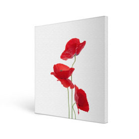 Холст квадратный с принтом Маки в Курске, 100% ПВХ |  | field | flowers | poppies | poppy | red | wild | красные | мак | маки | поле | полевые | цветы