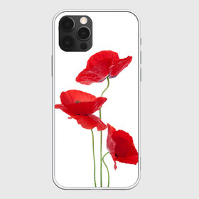 Чехол для iPhone 12 Pro Max с принтом Маки в Курске, Силикон |  | field | flowers | poppies | poppy | red | wild | красные | мак | маки | поле | полевые | цветы