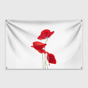 Флаг-баннер с принтом Маки в Курске, 100% полиэстер | размер 67 х 109 см, плотность ткани — 95 г/м2; по краям флага есть четыре люверса для крепления | field | flowers | poppies | poppy | red | wild | красные | мак | маки | поле | полевые | цветы