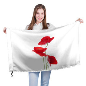 Флаг 3D с принтом Маки в Курске, 100% полиэстер | плотность ткани — 95 г/м2, размер — 67 х 109 см. Принт наносится с одной стороны | field | flowers | poppies | poppy | red | wild | красные | мак | маки | поле | полевые | цветы