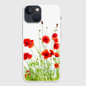 Чехол для iPhone 13 mini с принтом Маки в Курске,  |  | field | flowers | meadow | nature | poppies | poppy | red | summer | wild | красные | лето | луг | мак | маки | поле | полевые | природа | цветы