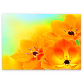 Поздравительная открытка с принтом Цветы в Курске, 100% бумага | плотность бумаги 280 г/м2, матовая, на обратной стороне линовка и место для марки
 | лепесток | новая | природа | цветок | яркая