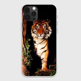 Чехол для iPhone 12 Pro Max с принтом Тигр в Курске, Силикон |  | Тематика изображения на принте: дикая кошка | лес | природа | тигр | хищник