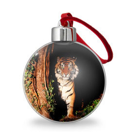 Ёлочный шар с принтом Тигр в Курске, Пластик | Диаметр: 77 мм | Тематика изображения на принте: дикая кошка | лес | природа | тигр | хищник