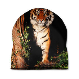 Шапка 3D с принтом Тигр в Курске, 100% полиэстер | универсальный размер, печать по всей поверхности изделия | дикая кошка | лес | природа | тигр | хищник