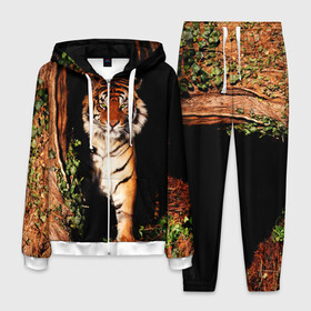 Мужской костюм 3D с принтом Тигр в Курске, 100% полиэстер | Манжеты и пояс оформлены тканевой резинкой, двухслойный капюшон со шнурком для регулировки, карманы спереди | дикая кошка | лес | природа | тигр | хищник