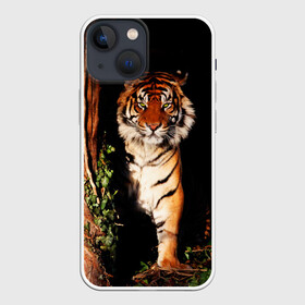 Чехол для iPhone 13 mini с принтом Тигр в Курске,  |  | дикая кошка | лес | природа | тигр | хищник