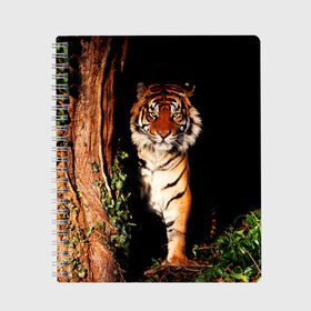 Тетрадь с принтом Тигр в Курске, 100% бумага | 48 листов, плотность листов — 60 г/м2, плотность картонной обложки — 250 г/м2. Листы скреплены сбоку удобной пружинной спиралью. Уголки страниц и обложки скругленные. Цвет линий — светло-серый
 | дикая кошка | лес | природа | тигр | хищник