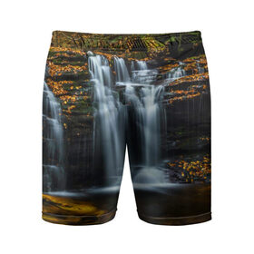 Мужские шорты 3D спортивные с принтом Водопад в Курске,  |  | вода | лес | пейзаж | природа