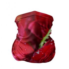 Бандана-труба 3D с принтом Цветы в Курске, 100% полиэстер, ткань с особыми свойствами — Activecool | плотность 150‒180 г/м2; хорошо тянется, но сохраняет форму | бабочки | весна | краски | лето | осень | розы | цветок | цветы