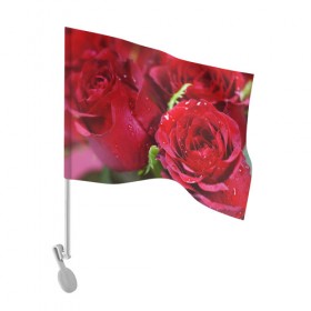 Флаг для автомобиля с принтом Цветы в Курске, 100% полиэстер | Размер: 30*21 см | бабочки | весна | краски | лето | осень | розы | цветок | цветы