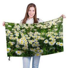Флаг 3D с принтом Ромашки 2 в Курске, 100% полиэстер | плотность ткани — 95 г/м2, размер — 67 х 109 см. Принт наносится с одной стороны | лепестки | прикольные картинки | ромашки | цветочки | цветы