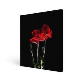 Холст квадратный с принтом Маки в Курске, 100% ПВХ |  | background | black | flowers | poppies | poppy | red | wild | красные | мак | маки | полевые | фон | цветы | черный