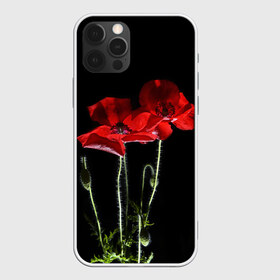 Чехол для iPhone 12 Pro Max с принтом Маки в Курске, Силикон |  | background | black | flowers | poppies | poppy | red | wild | красные | мак | маки | полевые | фон | цветы | черный