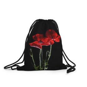 Рюкзак-мешок 3D с принтом Маки в Курске, 100% полиэстер | плотность ткани — 200 г/м2, размер — 35 х 45 см; лямки — толстые шнурки, застежка на шнуровке, без карманов и подкладки | background | black | flowers | poppies | poppy | red | wild | красные | мак | маки | полевые | фон | цветы | черный