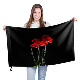 Флаг 3D с принтом Маки в Курске, 100% полиэстер | плотность ткани — 95 г/м2, размер — 67 х 109 см. Принт наносится с одной стороны | background | black | flowers | poppies | poppy | red | wild | красные | мак | маки | полевые | фон | цветы | черный