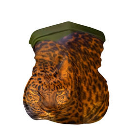 Бандана-труба 3D с принтом Дальневосточный леопард в Курске, 100% полиэстер, ткань с особыми свойствами — Activecool | плотность 150‒180 г/м2; хорошо тянется, но сохраняет форму | 