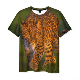 Мужская футболка 3D с принтом Дальневосточный леопард в Курске, 100% полиэфир | прямой крой, круглый вырез горловины, длина до линии бедер | Тематика изображения на принте: 