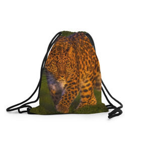 Рюкзак-мешок 3D с принтом Дальневосточный леопард в Курске, 100% полиэстер | плотность ткани — 200 г/м2, размер — 35 х 45 см; лямки — толстые шнурки, застежка на шнуровке, без карманов и подкладки | 