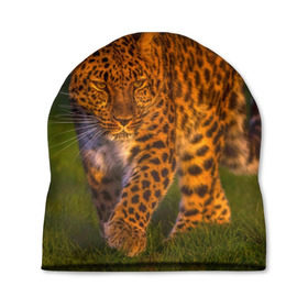 Шапка 3D с принтом Дальневосточный леопард в Курске, 100% полиэстер | универсальный размер, печать по всей поверхности изделия | 