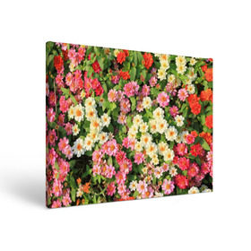 Холст прямоугольный с принтом Весеннее настроение в Курске, 100% ПВХ |  | Тематика изображения на принте: аромат | букет | вазон | великолепие | краски | красота | куст | луг | полевые цветы | полянка | природа | растения | розы | ромашки | тюльпаны | украшение | фауна | цветник | цветок | цветочек | цветы