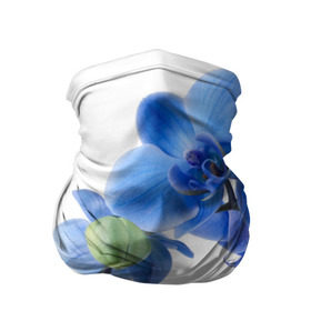Бандана-труба 3D с принтом Веточка орхидеи в Курске, 100% полиэстер, ткань с особыми свойствами — Activecool | плотность 150‒180 г/м2; хорошо тянется, но сохраняет форму | ветка | красота | нежность | орхидея | природа | растение | фауна | цветок | цветы
