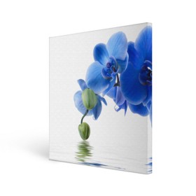 Холст квадратный с принтом Веточка орхидеи в Курске, 100% ПВХ |  | ветка | красота | нежность | орхидея | природа | растение | фауна | цветок | цветы
