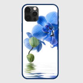 Чехол для iPhone 12 Pro с принтом Веточка орхидеи в Курске, силикон | область печати: задняя сторона чехла, без боковых панелей | Тематика изображения на принте: ветка | красота | нежность | орхидея | природа | растение | фауна | цветок | цветы