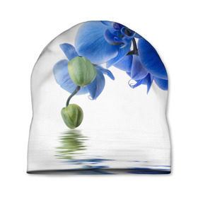 Шапка 3D с принтом Веточка орхидеи в Курске, 100% полиэстер | универсальный размер, печать по всей поверхности изделия | ветка | красота | нежность | орхидея | природа | растение | фауна | цветок | цветы