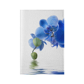 Обложка для паспорта матовая кожа с принтом Веточка орхидеи в Курске, натуральная матовая кожа | размер 19,3 х 13,7 см; прозрачные пластиковые крепления | ветка | красота | нежность | орхидея | природа | растение | фауна | цветок | цветы