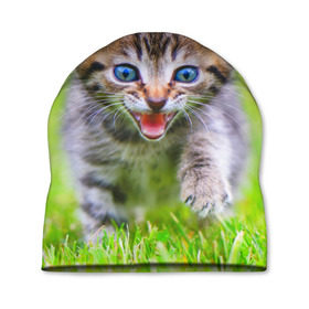Шапка 3D с принтом Кися в Курске, 100% полиэстер | универсальный размер, печать по всей поверхности изделия | Тематика изображения на принте: домашние | животные | кот | котёнок | кошка | милый