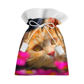 Подарочный 3D мешок с принтом Кошечка в Курске, 100% полиэстер | Размер: 29*39 см | Тематика изображения на принте: животные | кот | кошка | милая | рыжий
