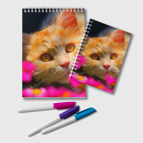 Блокнот с принтом Кошечка в Курске, 100% бумага | 48 листов, плотность листов — 60 г/м2, плотность картонной обложки — 250 г/м2. Листы скреплены удобной пружинной спиралью. Цвет линий — светло-серый
 | животные | кот | кошка | милая | рыжий