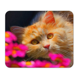 Коврик прямоугольный с принтом Кошечка в Курске, натуральный каучук | размер 230 х 185 мм; запечатка лицевой стороны | Тематика изображения на принте: животные | кот | кошка | милая | рыжий