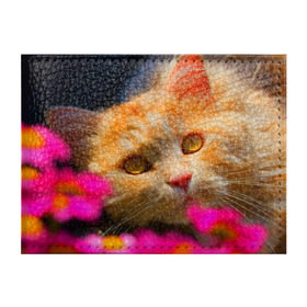 Обложка для студенческого билета с принтом Кошечка в Курске, натуральная кожа | Размер: 11*8 см; Печать на всей внешней стороне | Тематика изображения на принте: животные | кот | кошка | милая | рыжий