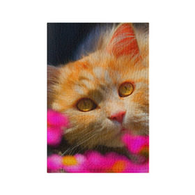 Обложка для паспорта матовая кожа с принтом Кошечка в Курске, натуральная матовая кожа | размер 19,3 х 13,7 см; прозрачные пластиковые крепления | Тематика изображения на принте: животные | кот | кошка | милая | рыжий